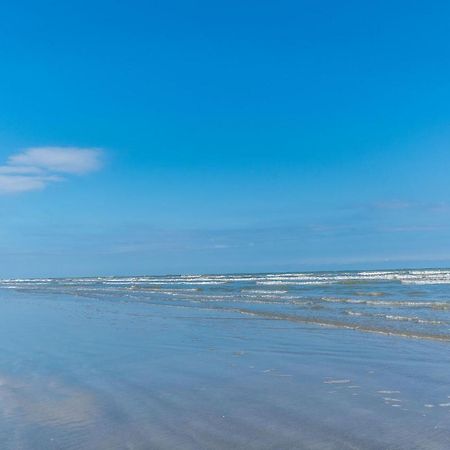 Perfect Location Spacious Yard Coffee Bar At This Lovely Beach Home Galveston Exteriör bild